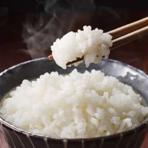 Gohan Temperado (100g)